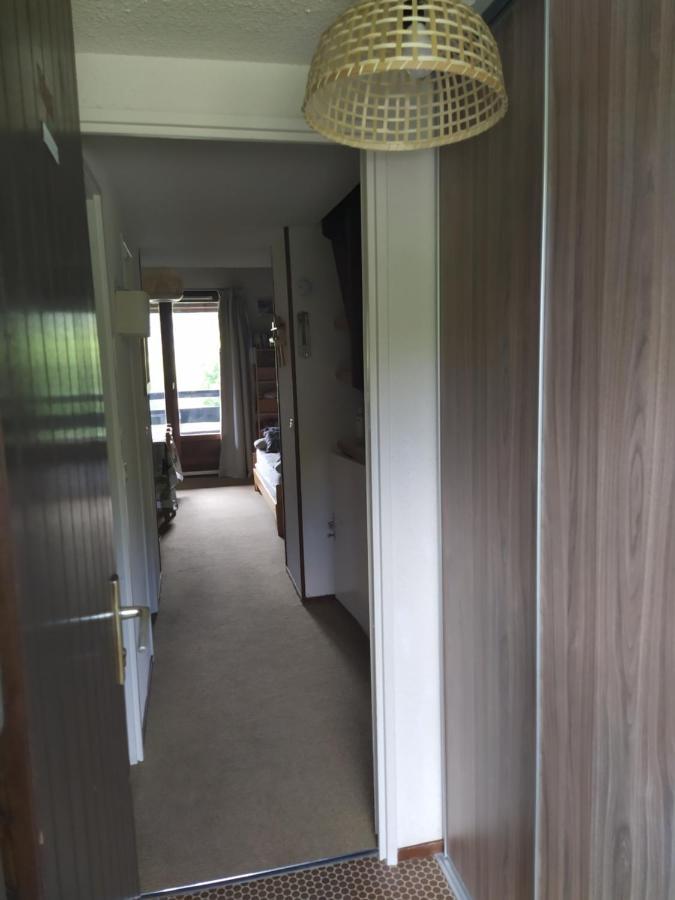 格雷斯昂韦科尔Duplex 3 Pieces. Pieds Des Pistes Et Balcon!公寓 外观 照片